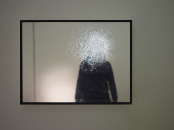 A. Lupi antiego mirror (Identity series) 2013